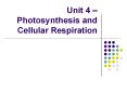 Unit 4   Photosynthesis and Cellular Respiration Readin