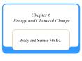 Chapter 6 Energy and Chemical Change Brady and Senese 5t