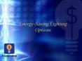 Energy-Saving Lighting Options Lighting Facts Accounts fo