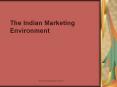 The Indian Marketing Environment The Indian Marketin
