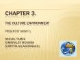 5-* LEGAL AND POLITICAL ENVIRONMENT OF A HOME COUNTRY: Fou
