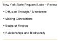 New York State Required Labs   Review Diffusion Through 