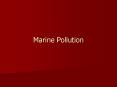 Marine Pollution Human Effects on the Marine Environmen