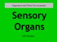 Organisms and Their Environments Sensory Organs Life Scienc
