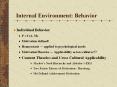 Internal Environment: Behavior Individual Behavior P = f (A
