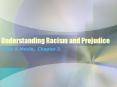 Understanding Racism and Prejudice Diller & Moule, Chapter 