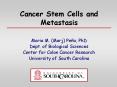 Cancer Stem Cells and Metastasis