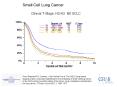 Small Cell Lung Cancer