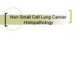 Non Small Cell Lung Cancer Histopathology