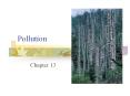 Pollution Chapter 13 Water Pollution Types and Sources o