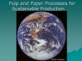 Pulp and Paper Processes for Sustainable Production Keit