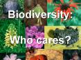 Biodiversity: Who cares? Which do you like better? Which d