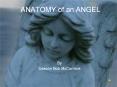 ANATOMY of an ANGEL By Deacon Bob McCormick Anatomy of a