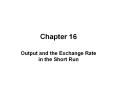 Chapter 16 Output and the Exchange Rate in the Short Ru