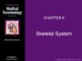 CHAPTER 6 Skeletal System Skeletal System Human skeleto