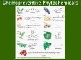 Estrogen Receptor Estrogen Receptors Estrogen Receptors ER-