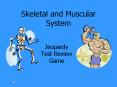 Skeletal and Muscular System Jeopardy Test Review Game Th