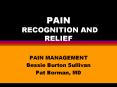PAIN RECOGNITION AND RELIEF PAIN MANAGEMENT Bessie Burto
