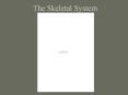 The Skeletal System Tissues of the Body Tissue group o