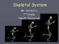 Skeletal System Mr. Gerlach s 7th Grade Health Education Th