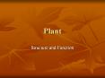 Plant Structure and Function Angiosperm structure Roo