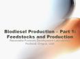 Feedstocks and Production Renewable Products Developmen