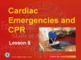 Cardiac Emergencies and CPR Lesson 9 Introduction Basic Lif