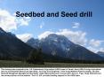 Seedbed and Seed drill This training was prepared by th