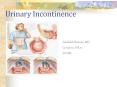 Urinary Incontinence Abdallah Rimawi, MD Geriatrics Fello