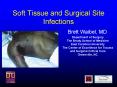 Soft Tissue and Surgical Site Infections Brett Waibel, M