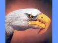 Antibiotic Resistance Growing Problem Indiscriminant an