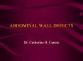 ABDOMINAL WALL DEFECTS Dr. Catherine B. Canete UMBILICA