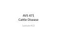 AVS 471 Cattle Disease Lecture #13 IBR   Infectious bovin