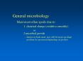 General microbiology Meat most often spoils due to 1
