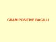 GRAM POSITIVE BACILLI Clinically important Gram positiv