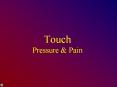 Touch Pressure & Pain Touch Touch receptors are on the ski