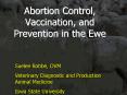 Abortion Control, Vaccination, and Prevention in the Ew