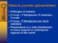Malaria parasite (plasmodium) Pathogen of malaria P.vivax 