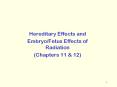 Hereditary Effects and Embryo/Fetus Effects of Radiatio