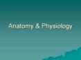 Anatomy & Physiology Themes in Anatomy Ambivalence Art i