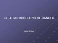 SYSTEMS MODELLING OF CANCER Leto Kyritsi Talk Outlin