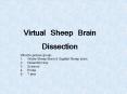 Virtual Sheep Brain Dissection What to get per group: Whol