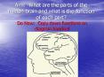 Aim: What are the parts of the human brain and what is th