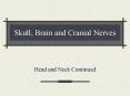 Skull, Brain and Cranial Nerves Head and Neck Continue