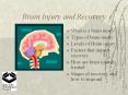 Brain Injury and Recovery What is a brain injury Types o