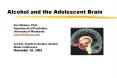 Alcohol and the Adolescent Brain Ken Winters, Ph.D