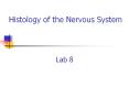 Histology of the Nervous System Lab 8 Neurofibrilar Nod
