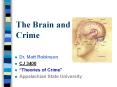 The Brain and Crime Dr. Matt Robinson CJ 3400  Theories o