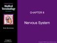 CHAPTER 8 Nervous System Nervous System Overview Nervou