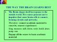THE WAY THE BRAIN LEARNS BEST The Brain shapes itself i